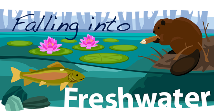 Engaging worksheet on preserving freshwater ecosystems for second graders. Coloring page featuring a vibrant freshwater habitat with frogs, turtles, ducks, and dragonflies for kids to explore.