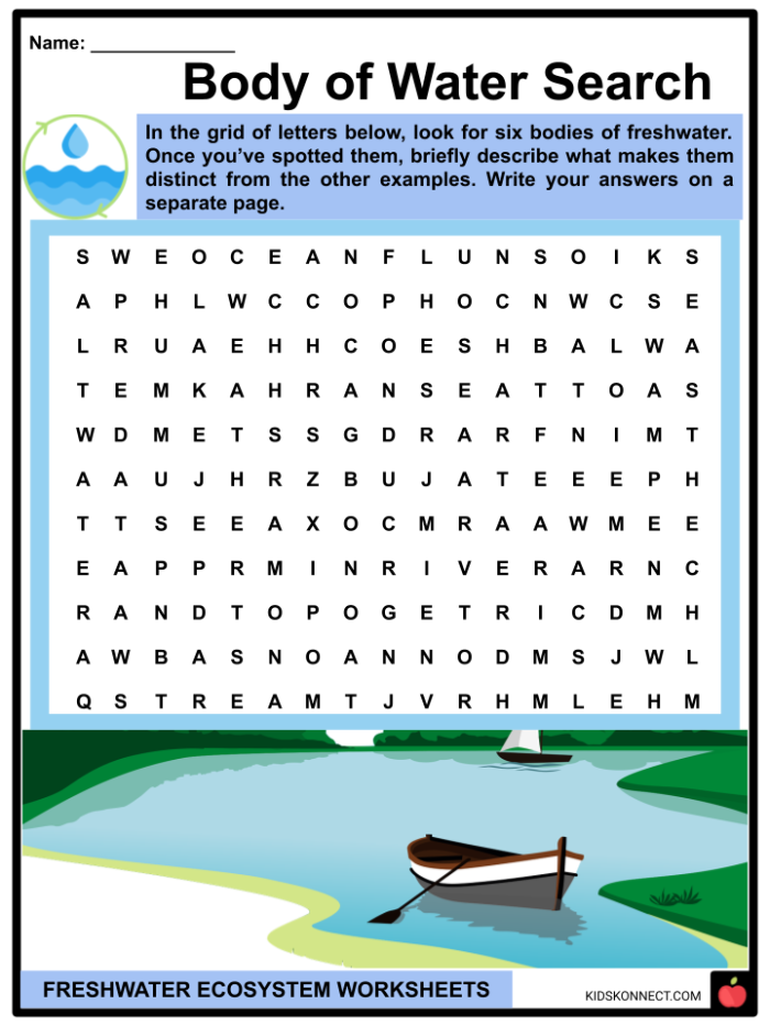 Color the Freshwater Habitat worksheet for second graders to learn about ecosystem preservation. Coloring page featuring frogs, turtles, ducks, and dragonflies in a freshwater lake habitat for kids.