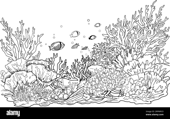 Engaging Freshwater Habitat worksheet for second graders to learn about ecosystem preservation through coloring Coloring page featuring a vibrant freshwater habitat with frogs, turtles, ducks, and dragonflies for kids to enjoy