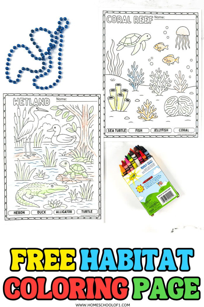 Engaging worksheet for second graders to learn about the importance of freshwater ecosystems. Coloring page showcasing a vibrant freshwater habitat with frogs, turtles, ducks, and dragonflies for kids.