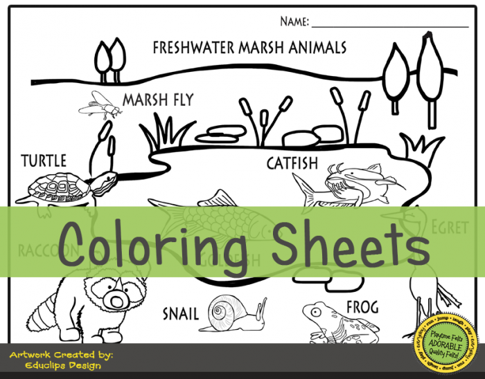 Algebra worksheet for Second Grade Coloring page featuring a vibrant freshwater habitat with frogs, turtles, ducks, and dragonflies for second graders. Freshwater Habitat Worksheet for Coloring and Learning about Ecosystems.