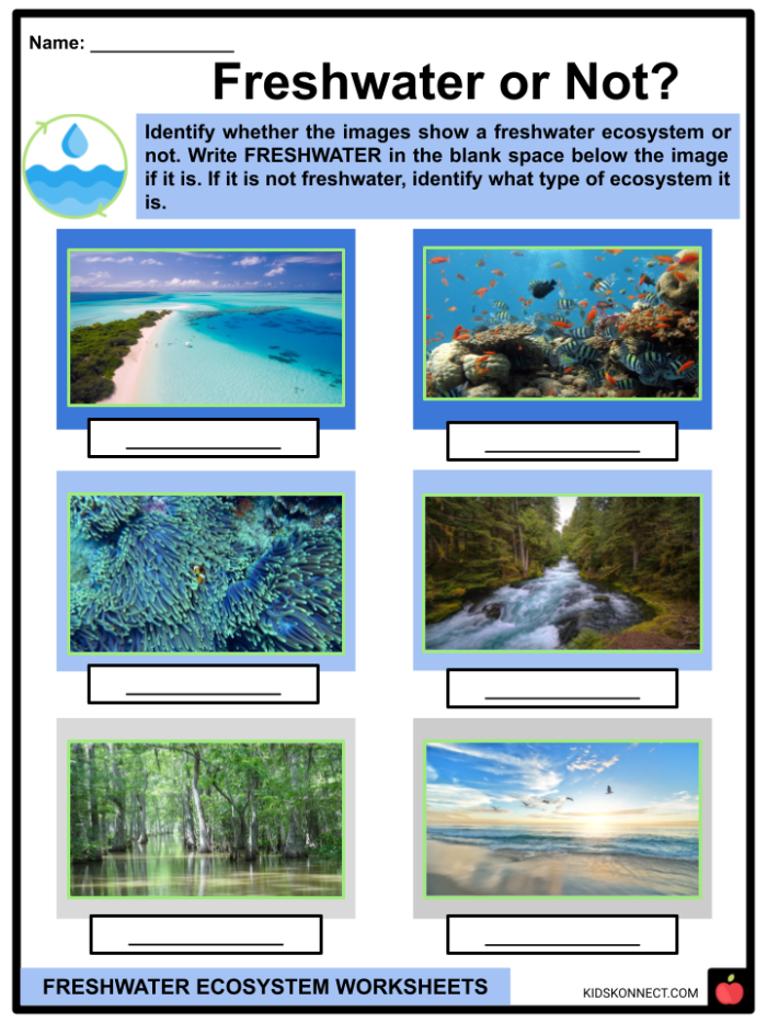 Freshwater Habitat Worksheet for Second Graders to Color and Learn Coloring page featuring frogs, turtles, ducks, and dragonflies in a freshwater lake habitat
