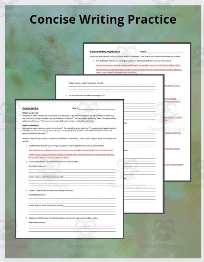 Express Ideas Precisely and Concisely worksheet activity for seventh graders, image 21 Seventh grade student working on an Express Ideas Precisely and Concisely worksheet focused on clear sentence revision