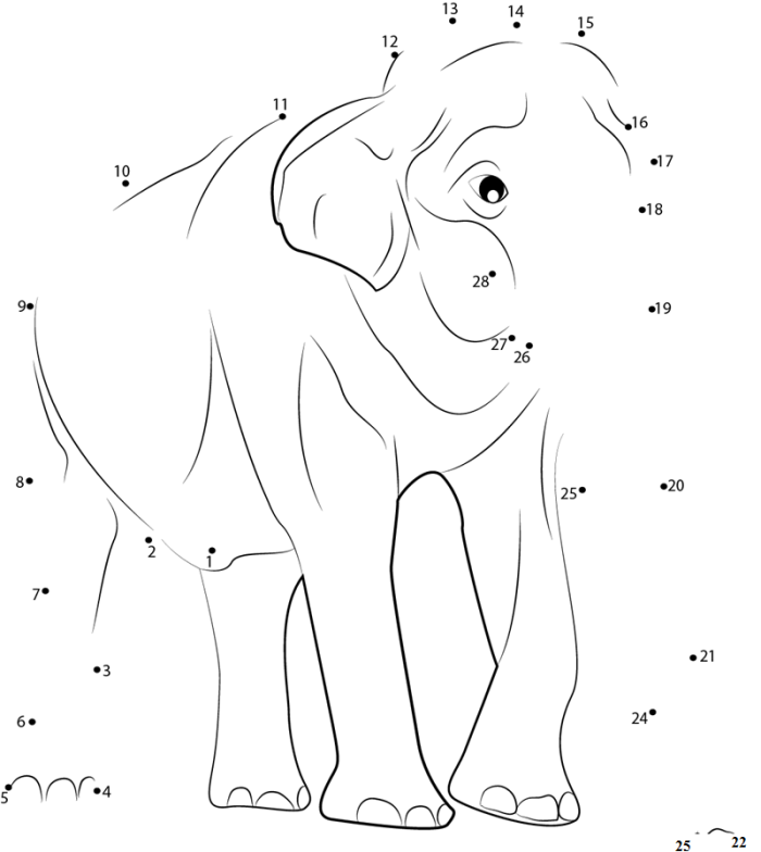 Elephant dot-to-dot activity showing the world's largest land animal for young students Connect the dots from 1 to 50 to reveal a picture of an elephant for kindergarten learners
