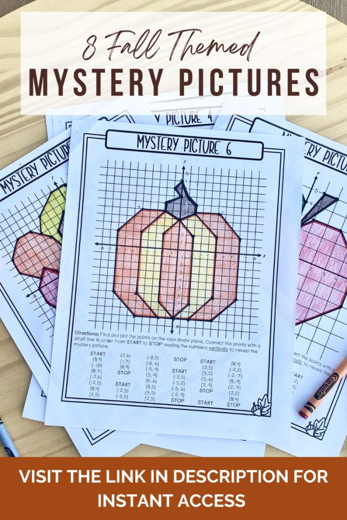 Fifth grade student plotting points on a coordinate grid to reveal a hidden image in the Mystery Picture Graph In the Sun worksheet