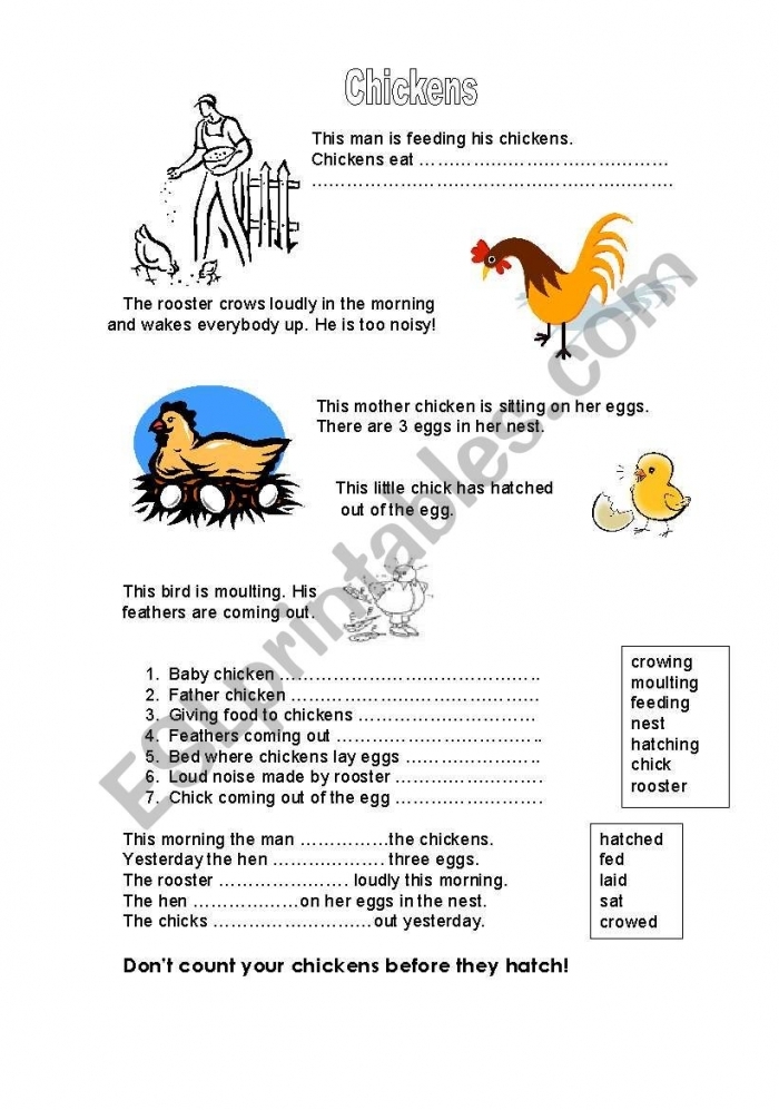 Count Your Chickens activity sheet for first graders filling in number sequences First Grade Count Your Chickens worksheet with missing numbers on eggs up to 50