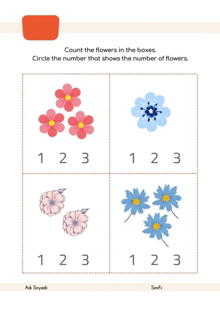 Engaging worksheet for young learners to practice counting flowers and petals Counting Flowers worksheet for preschoolers to enhance number skills while coloring