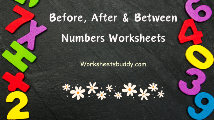 Printable math activity for young learners to practice number sequencing and counting First Grade Before, After, and Between Numbers worksheet focusing on counting skills