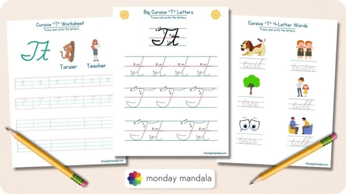 Cursive T worksheet featuring Tommy and his tomatoes for third graders to practice writing T in cursive