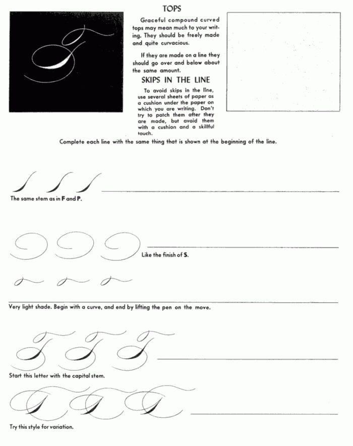 Handwriting worksheet for Third Grade Cursive V worksheet for Third Grade