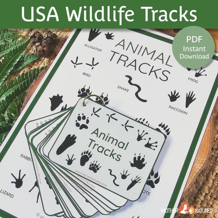Third Grade worksheet showing North American animal tracks with decimal matching exercises