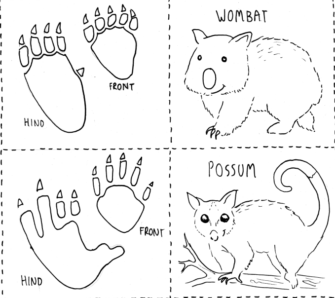 Third grade worksheet matching North American animal tracks to their animals for decimal practice