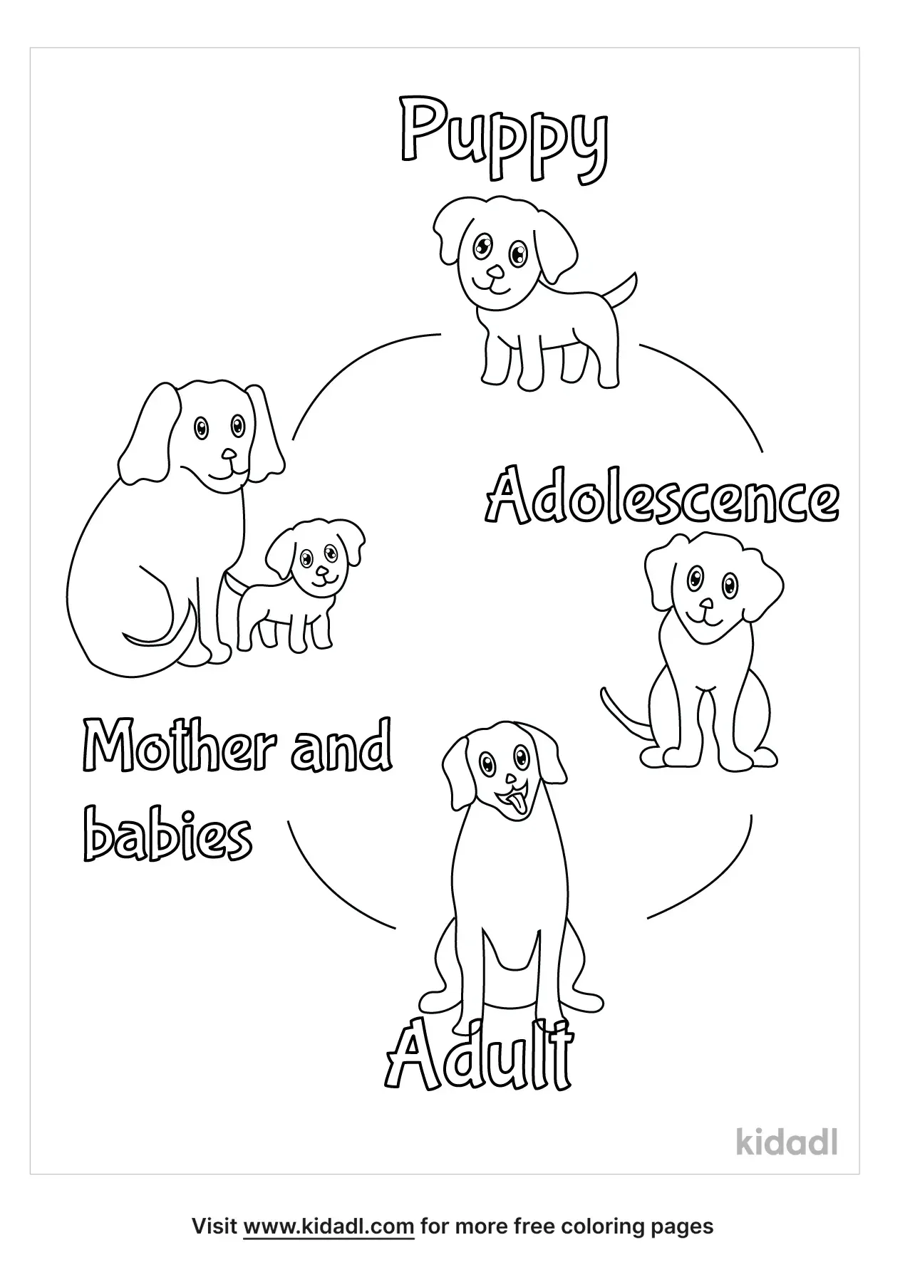 Color the Life Cycle of a Dog worksheet for engaging first graders in multiplication and biology concepts First Grade multiplication worksheet showing a dog life cycle coloring activity for learning stages