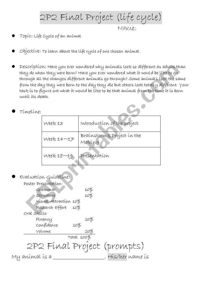 First Grade Multiplication worksheet with dog life cycle coloring activity number 4 Color the Life Cycle: Dog worksheet showing stages of a dog's growth for first graders