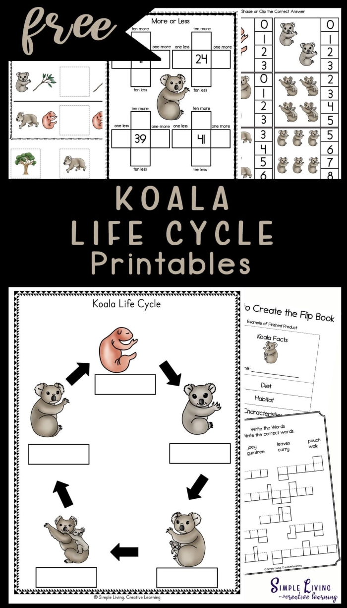Color the Life Cycle Dog worksheet for young learners to explore growth stages through coloring First Grade multiplication worksheet featuring the stages of a dog's life to color and learn