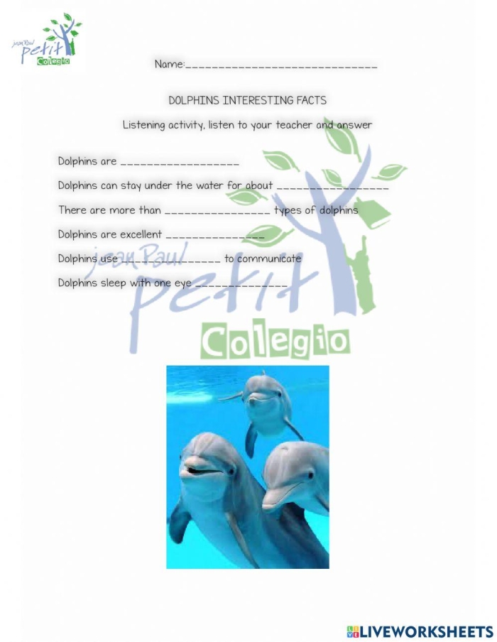 Fifth grade students reading a worksheet about dolphin evolution and behavior