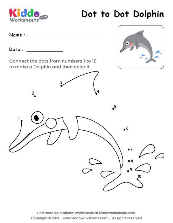 Fifth grade worksheet featuring dolphin facts for phonics and reading comprehension