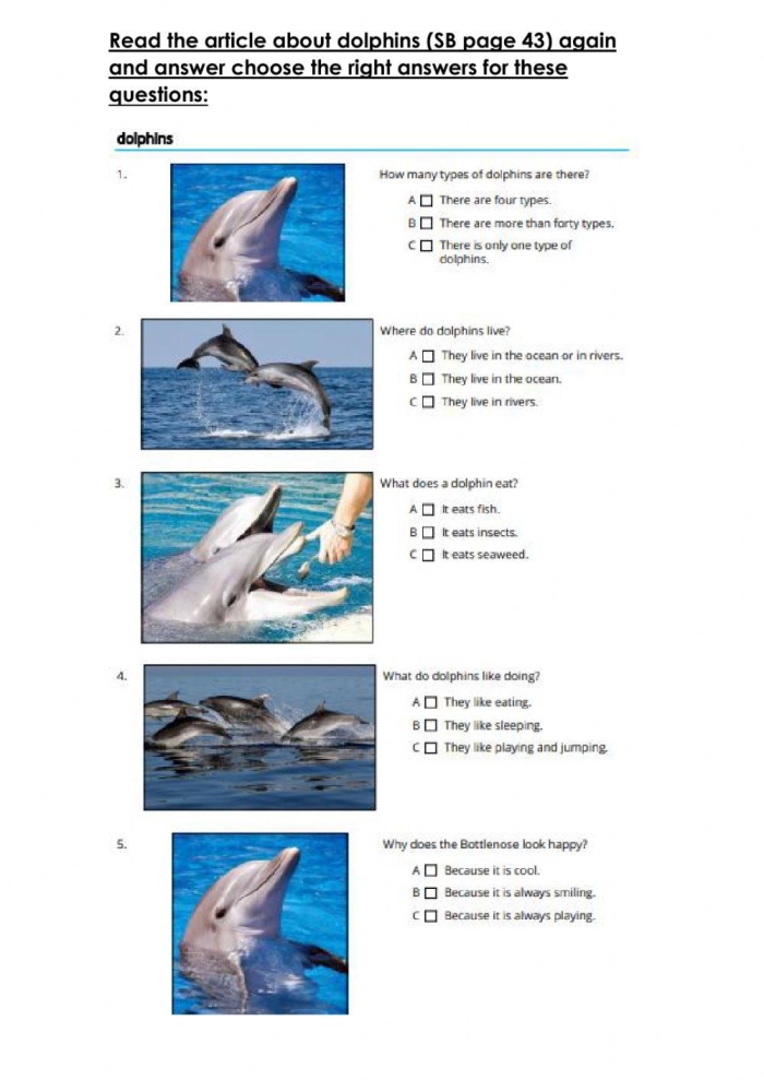 Fifth grade phonics worksheet featuring dolphin facts about evolution and behavior