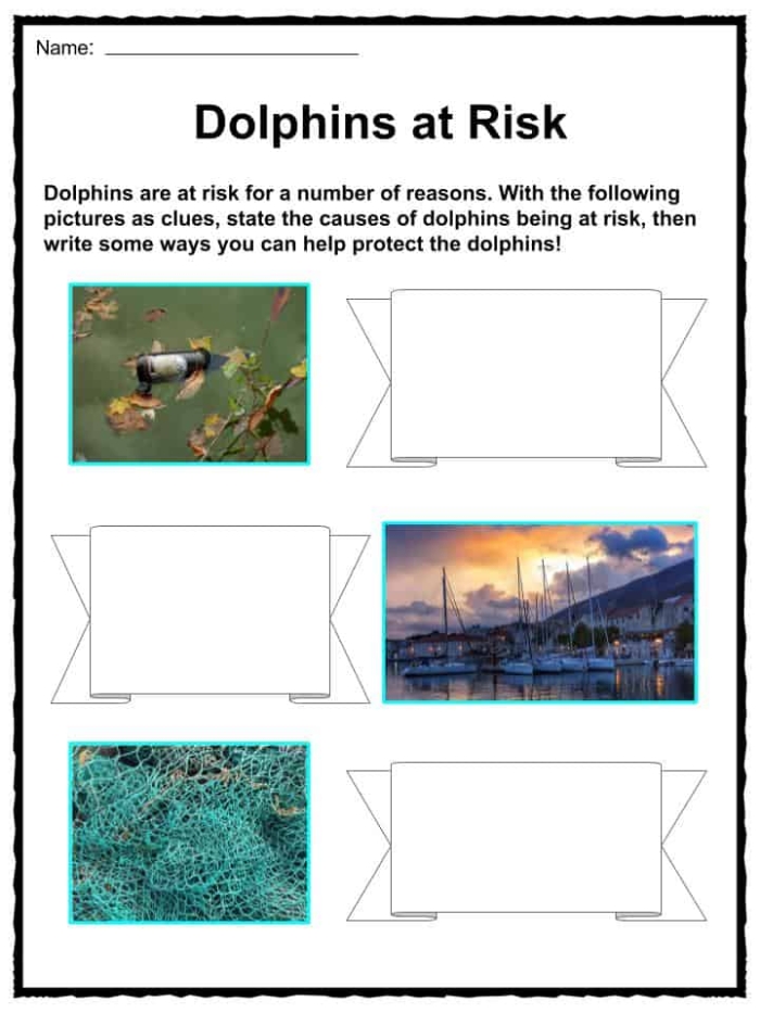 Fifth Grade Phonics worksheet about dolphin facts including evolution and behavior