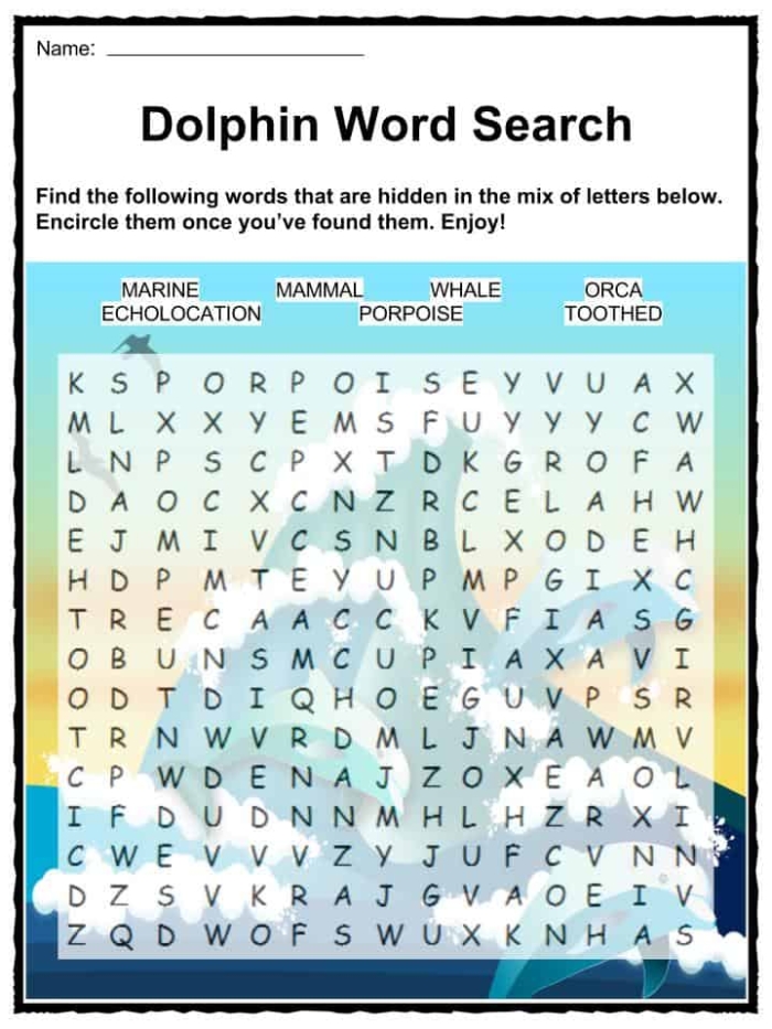 Fifth Grade phonics worksheet featuring dolphin facts about their evolution and traits