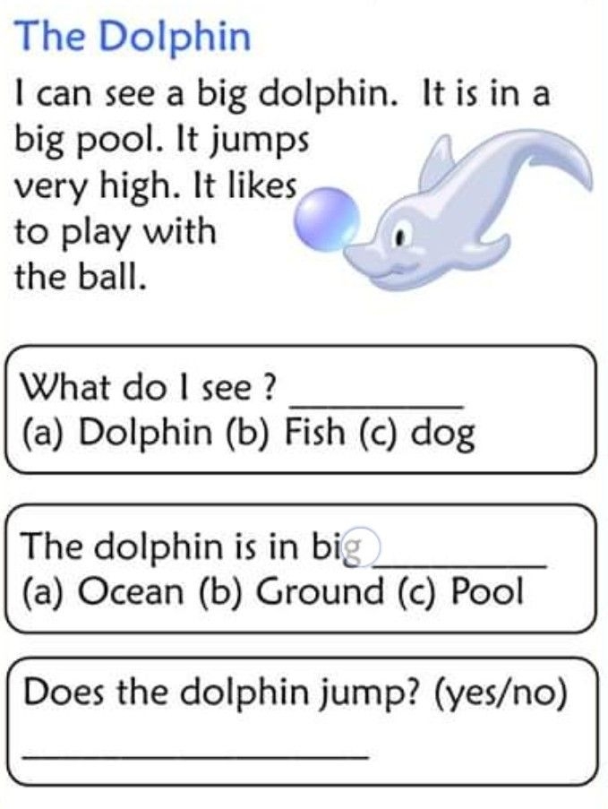 Fifth Grade phonics worksheet featuring dolphin facts on evolution and behavior