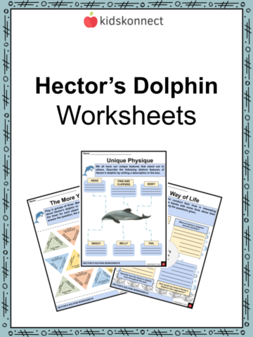 Fifth grade phonics worksheet featuring dolphin facts and reading comprehension activities