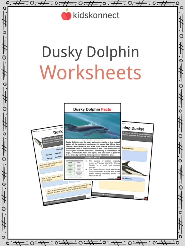 Fifth grade phonics worksheet featuring dolphin facts about evolution and behavior