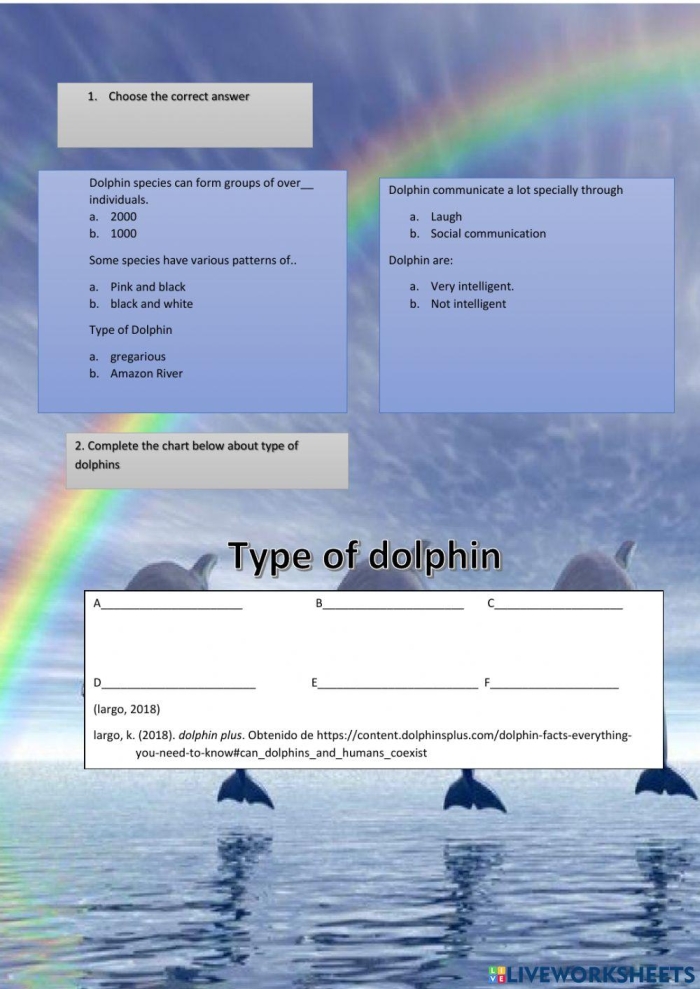 Fifth grade students completing a Dolphin Facts worksheet focused on phonics and reading comprehension