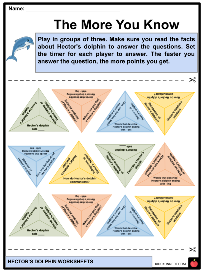 Fifth grade phonics worksheet featuring dolphin facts about evolution and behavior