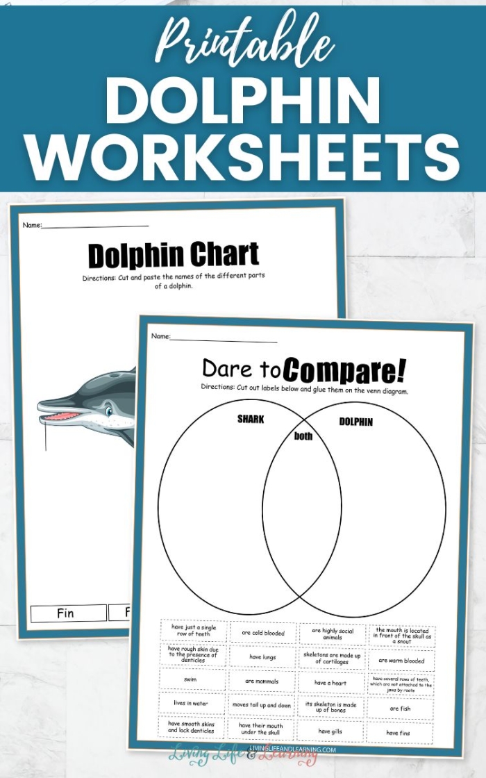 Fifth grade students completing a Dolphin Facts phonics worksheet about dolphin behavior and evolution