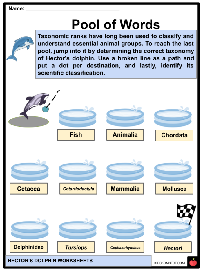 Fifth grade students completing a Dolphin Facts worksheet focusing on phonics and reading comprehension