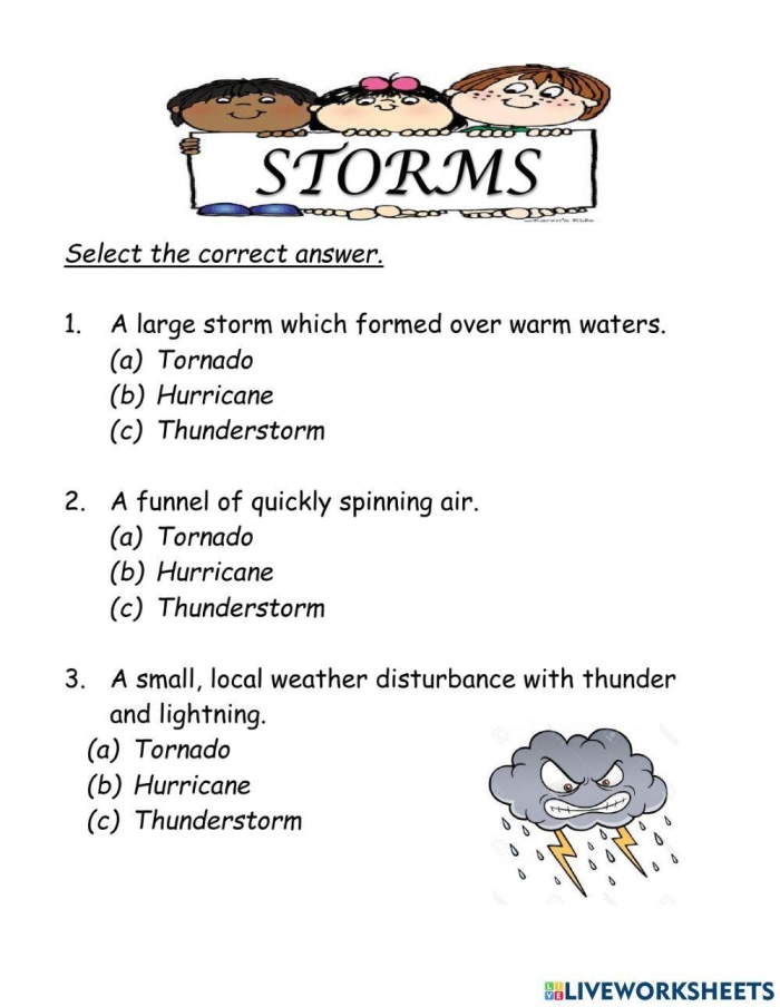 Engaging dust storms worksheet for learning and exploration Detailed worksheet on dust storms for fourth-grade reading students