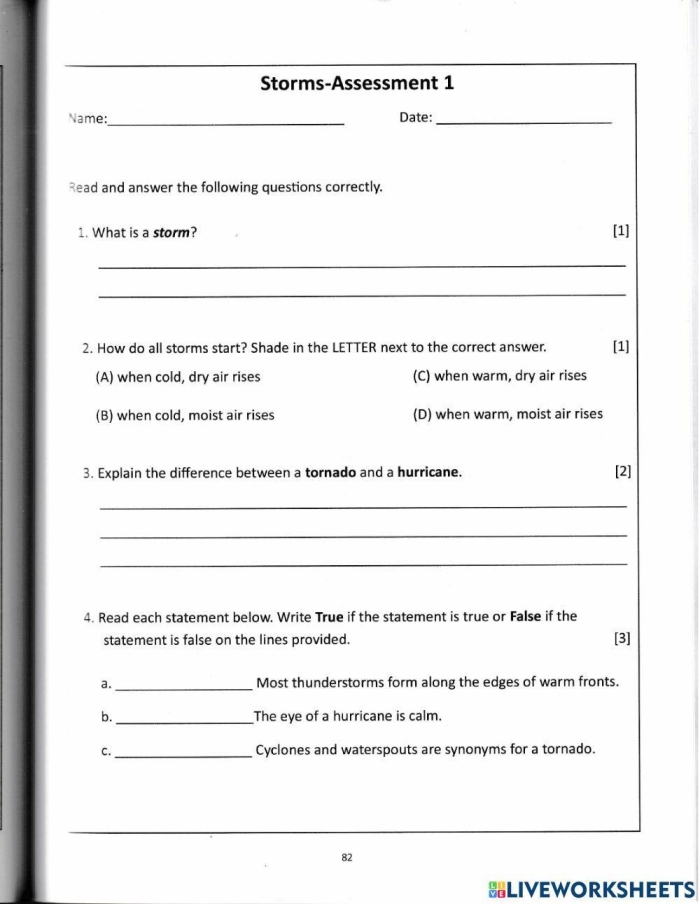 Engaging worksheet on dust storms for fourth-grade reading activities Dust Storms worksheet for fourth graders exploring the impact and science behind dust storms