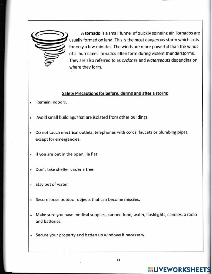 Engaging worksheet about the fascinating force of dust storms for reading activities Dust storms worksheet for fourth graders exploring the impact of dust storms