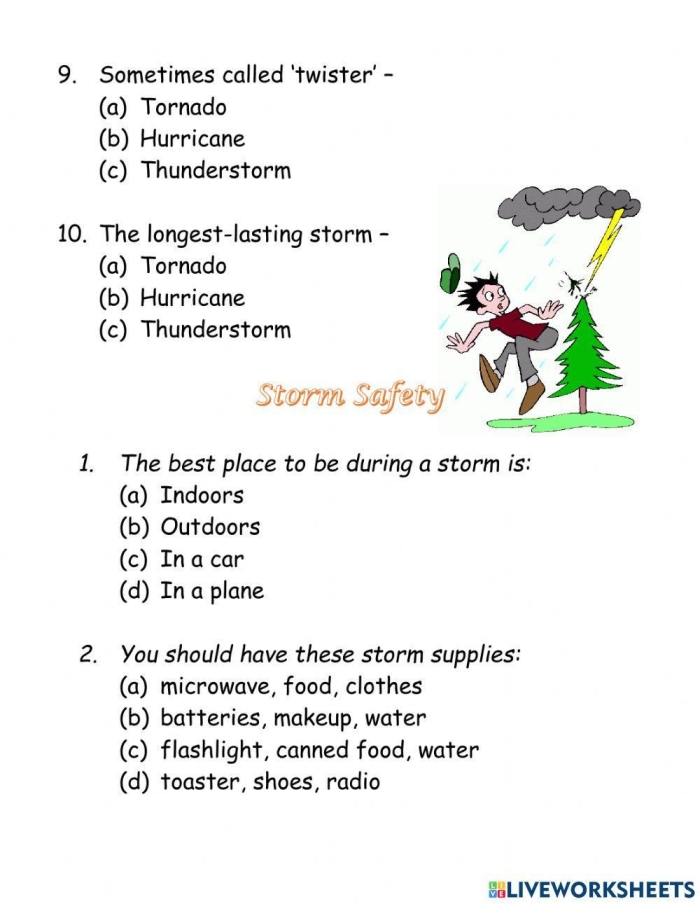 Engaging worksheet on the fascinating phenomenon of dust storms for reading activities Dust Storms worksheet for fourth graders exploring the impact of dust storms
