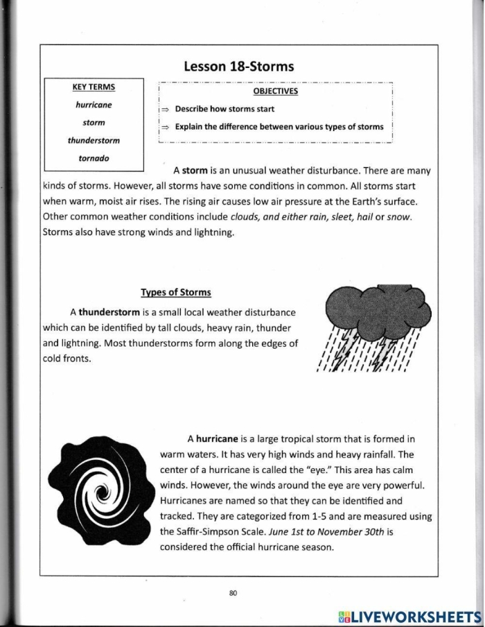 Interactive worksheet on the fascinating phenomenon of dust storms for reading practice Dust Storms worksheet for fourth graders exploring the impact of dust storms