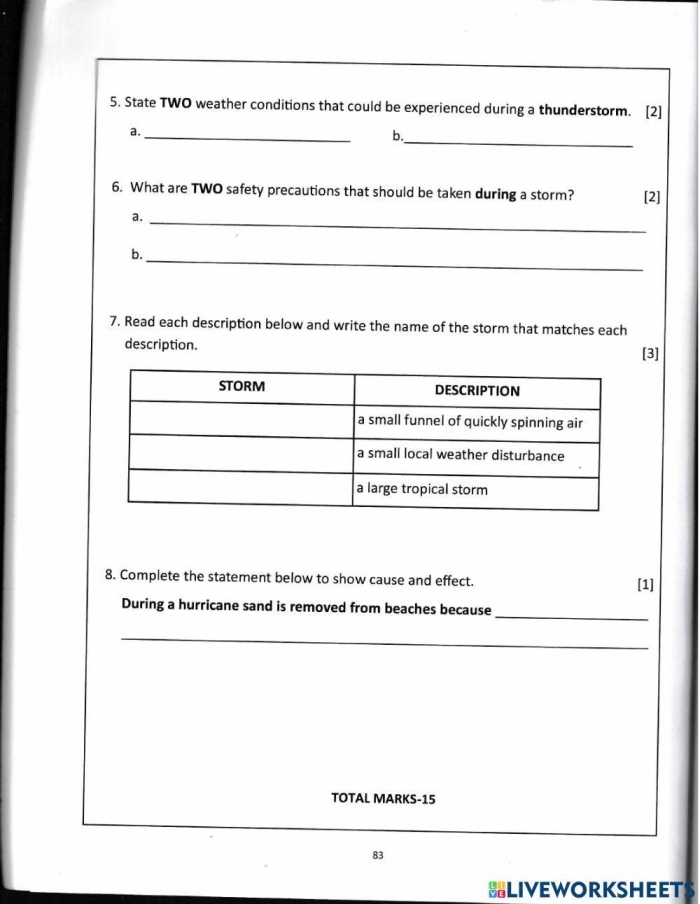Engaging worksheet exploring the fascinating world of dust storms for young learners Dust Storms worksheet for fourth graders focusing on the impact and dynamics of dust storms
