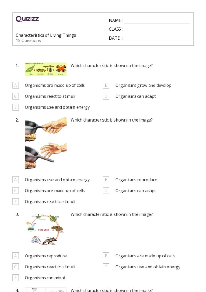 Pre-K worksheet showing various living and non-living things for early learners