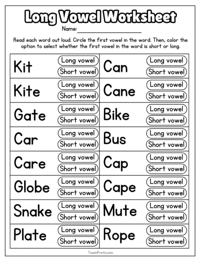 Preschool Long Vowel Hunt worksheet with pictures and words for early readers