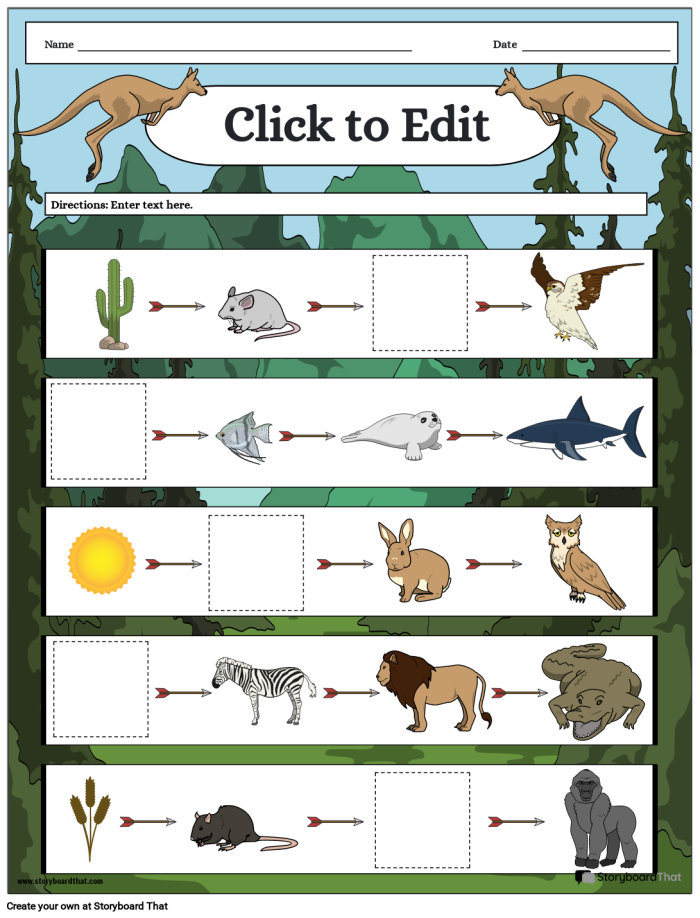 Interactive worksheet for teaching food webs in life science for grade four students, image 23 Fourth grade student completing a Fun with Food Webs worksheet to learn about ecosystems