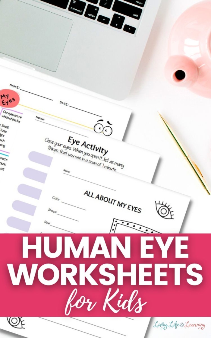 Labeled diagram of the human eye showing parts like the cornea, iris, lens, and retina for fourth grade students learning about vision