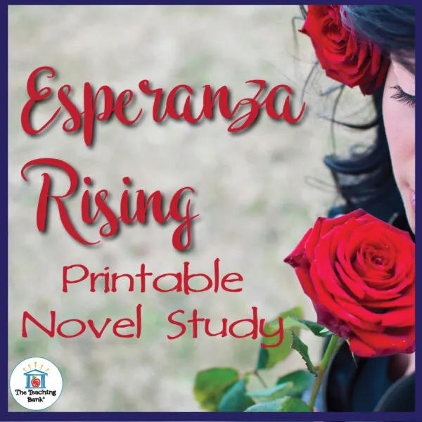 Fifth grade worksheet on different perspectives from Esperanza Rising novel study