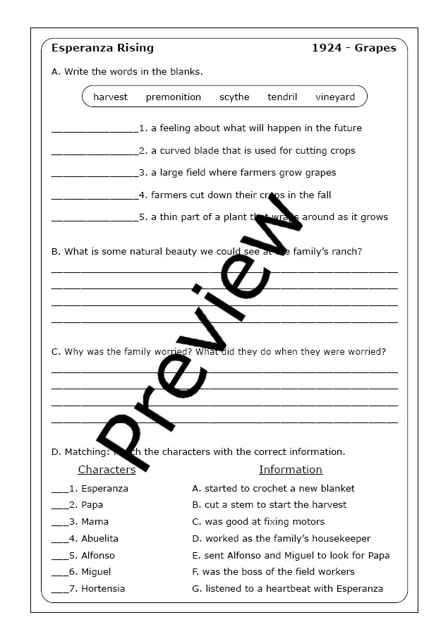 Fifth grade students working on a point of view worksheet for Esperanza Rising novel study