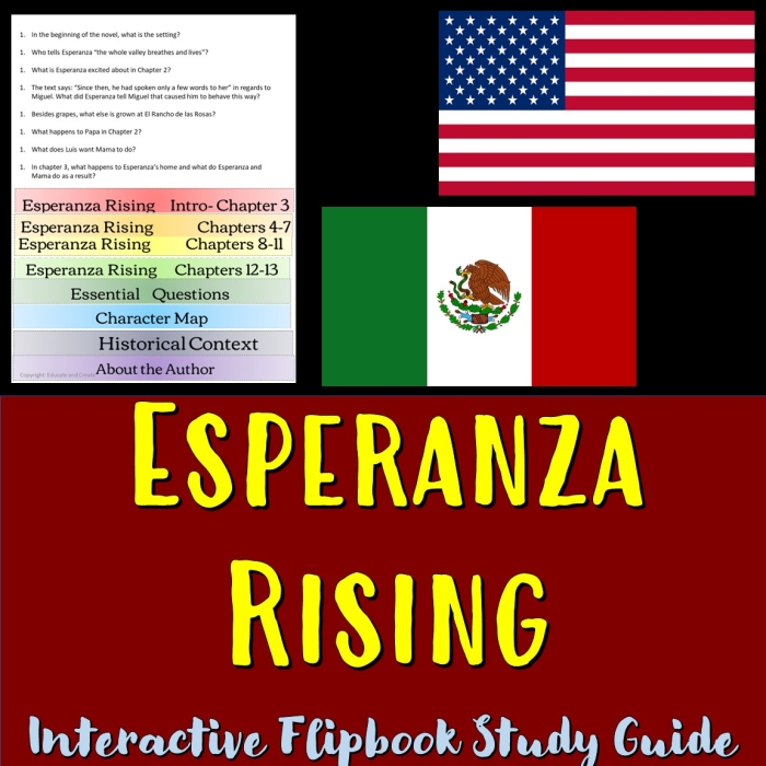 Fifth grade worksheet for Esperanza Rising novel study focusing on different perspectives