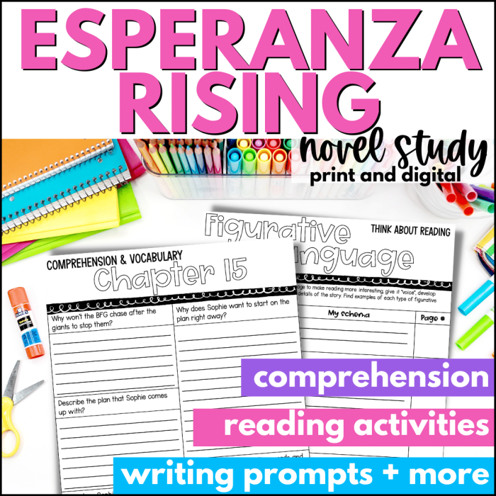 Fifth grade students working on a Different Point of View worksheet for Esperanza Rising novel study