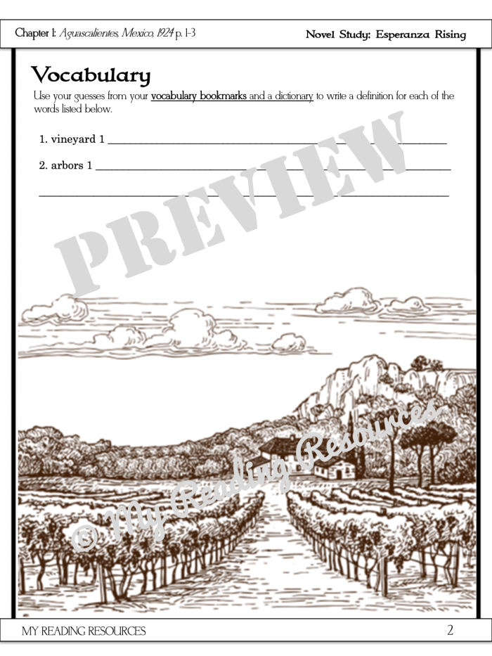 Fifth grade worksheet on point of view from Esperanza Rising novel study activity