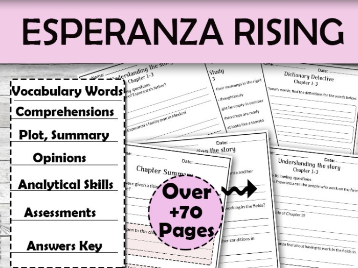 Fifth grade students working on a point of view worksheet for Esperanza Rising