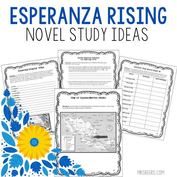 Fifth grade students working on a Different Point of View worksheet for Esperanza Rising novel study