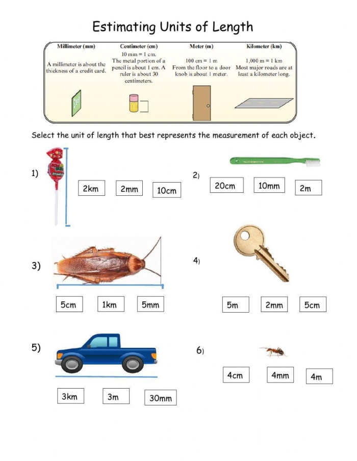 Worksheet featuring estimation and measurement activities for second graders