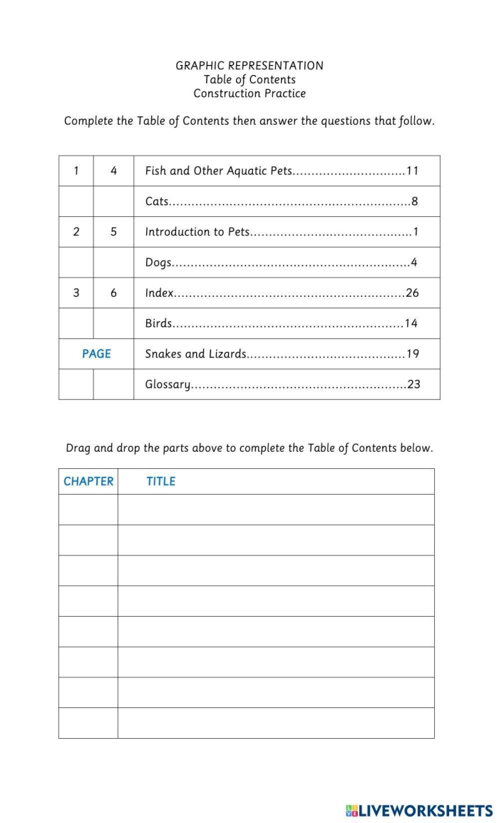 Alphabet worksheet for First Grade Worksheet featuring a sample table of contents along with comprehension questions for first graders. Exploring a Table of Contents worksheet designed to enhance alphabet skills for first grade.